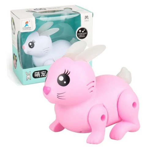 خرگوش موزیکال